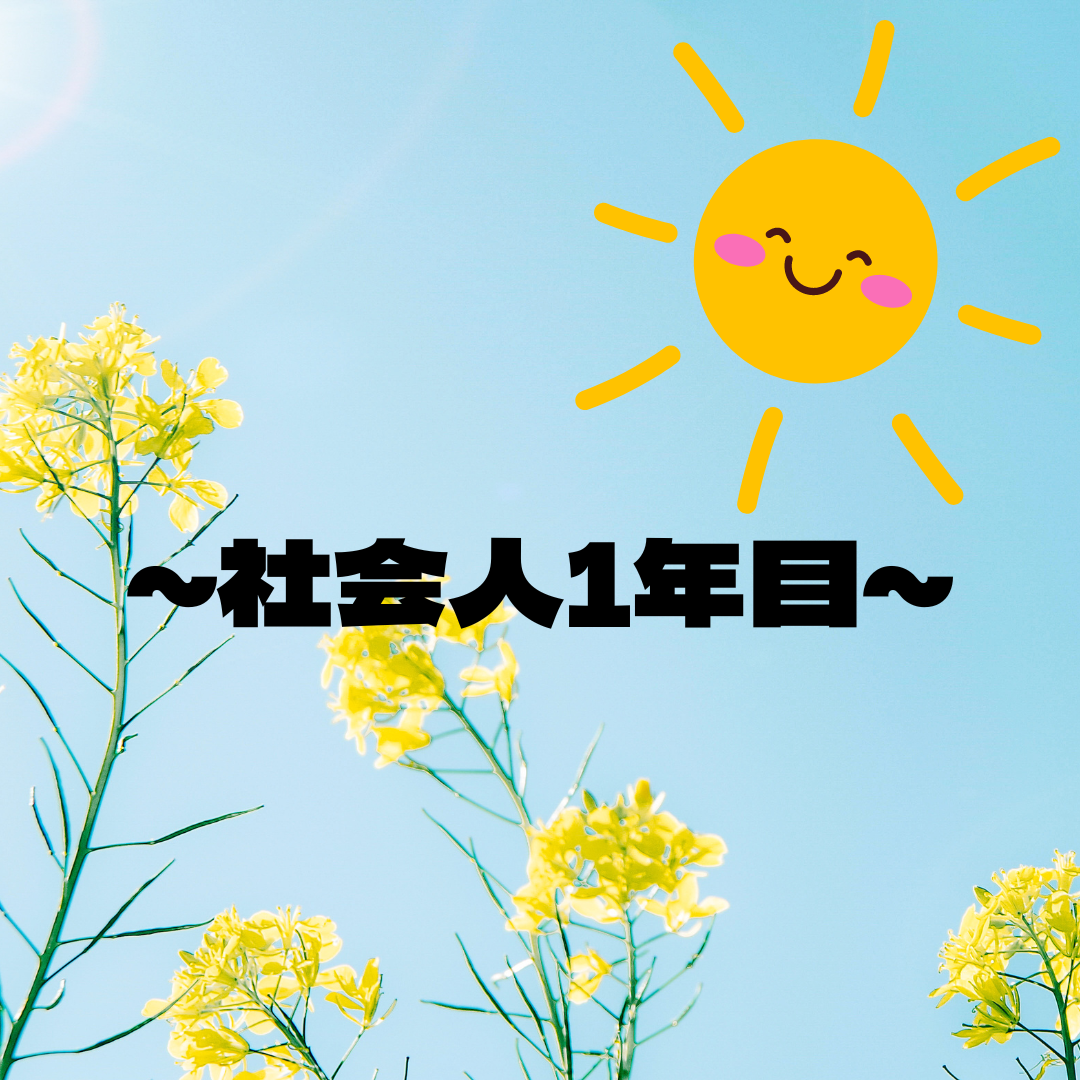 社会人１年目